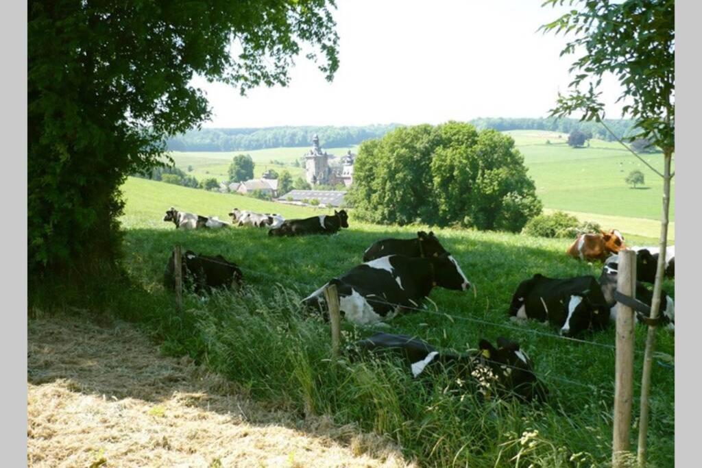 Hoeve Espewey Cottage Hombourg Dış mekan fotoğraf