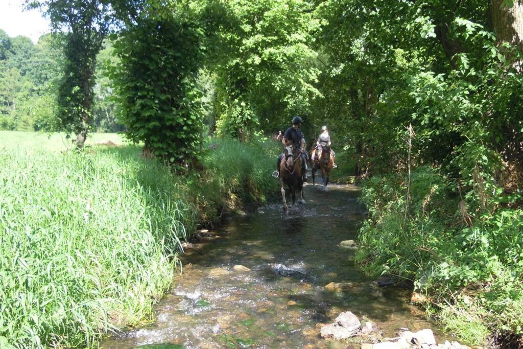 Hoeve Espewey Cottage Hombourg Dış mekan fotoğraf